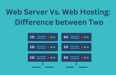 Difference Between Web Hosting and Web Server
